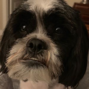 Meet your Posher, Mason